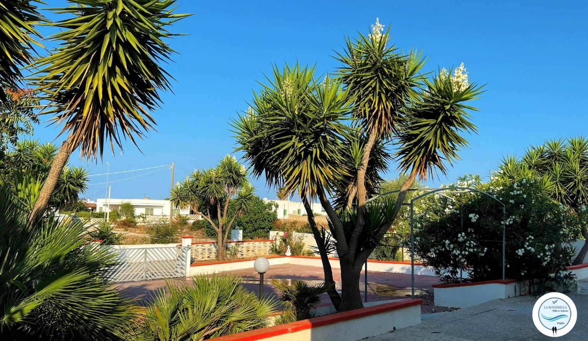 Villa La Rondinella - Torre San Giovanni Exterior photo
