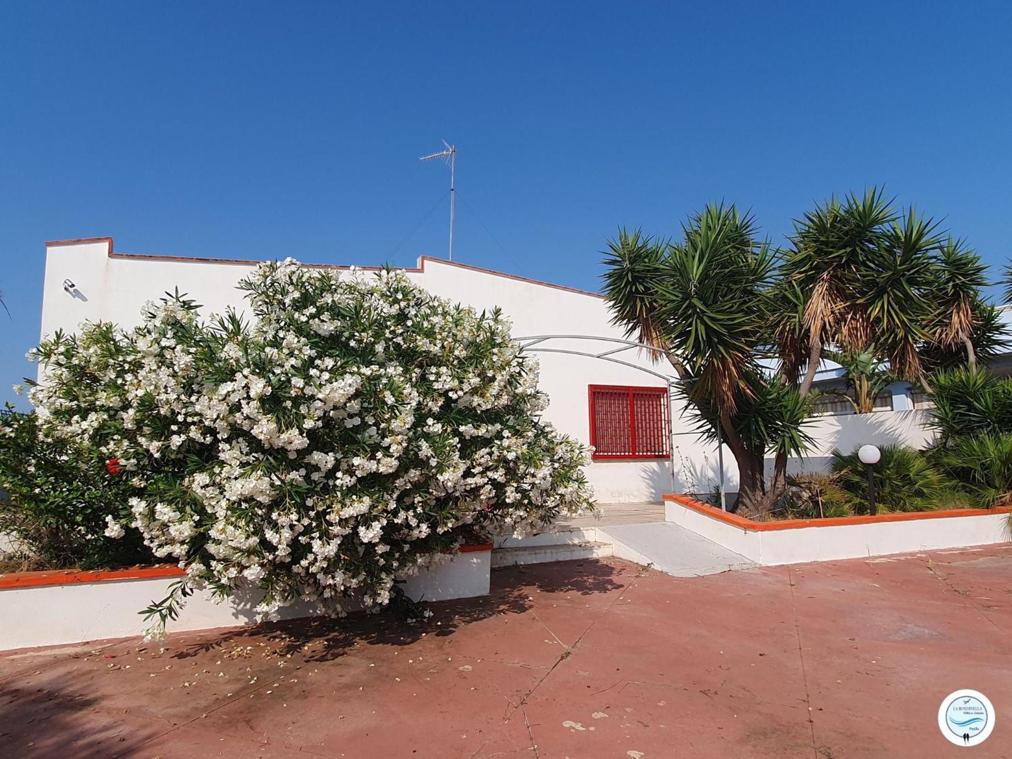 Villa La Rondinella - Torre San Giovanni Exterior photo
